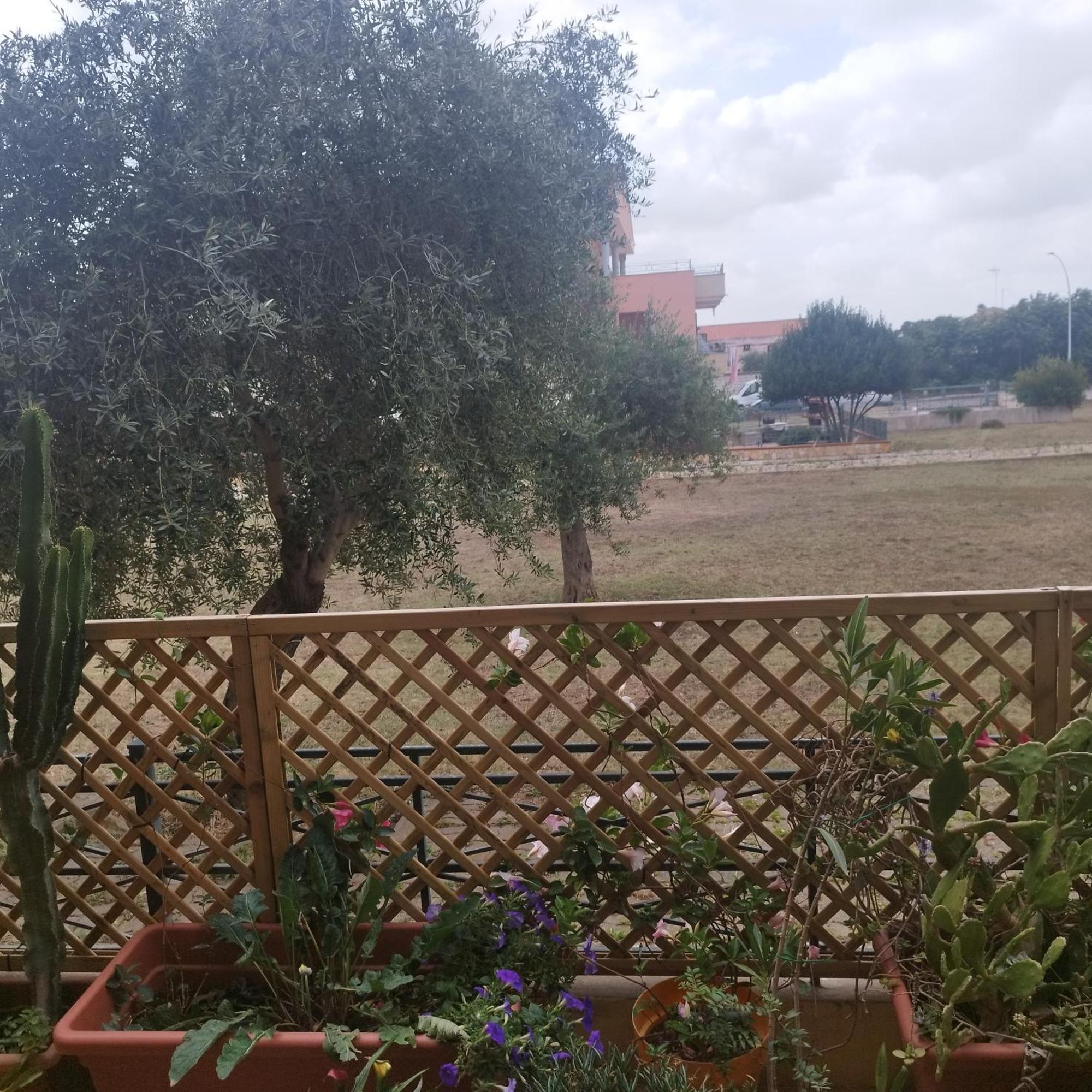 Alghero Lovely Flat Daire Dış mekan fotoğraf