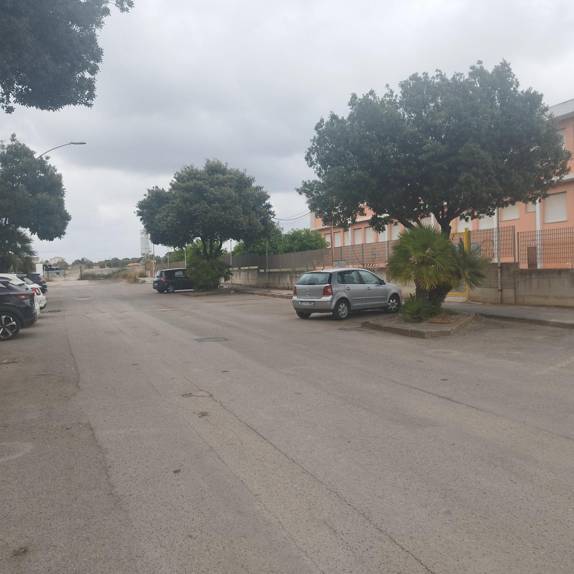 Alghero Lovely Flat Daire Dış mekan fotoğraf